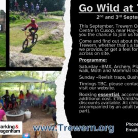 Later this Summer at Trewern